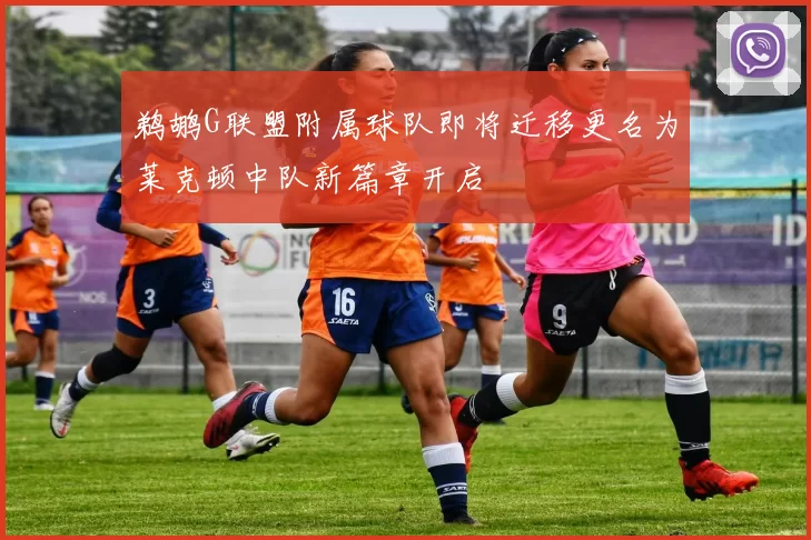 鹈鹕G联盟附属球队即将迁移更名为莱克顿中队新篇章开启