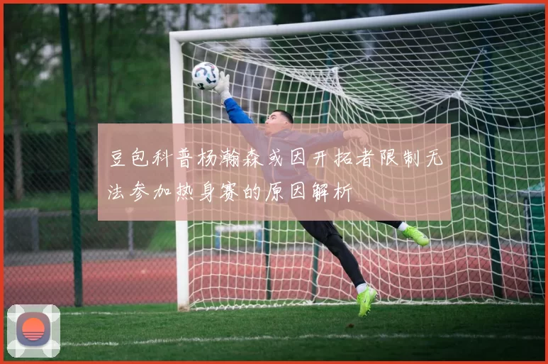 豆包科普杨瀚森或因开拓者限制无法参加热身赛的原因解析